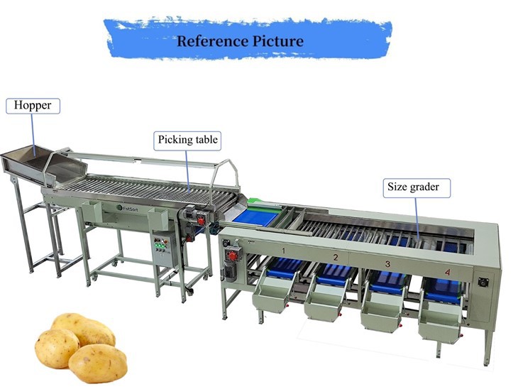 High Capacity Potato Roller Sorting Machine manufacturers