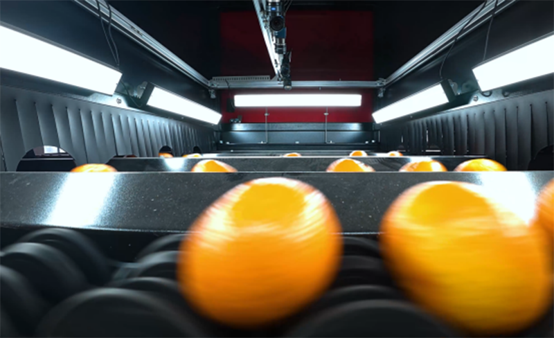 orange grading orange grading