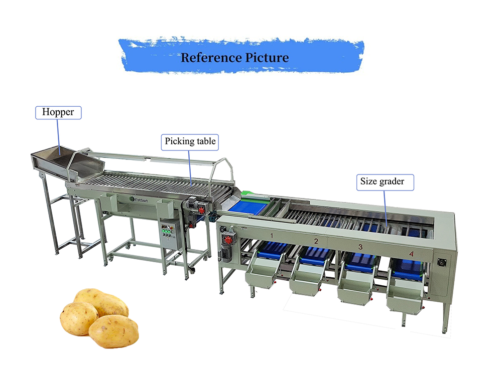 potato roller sorting